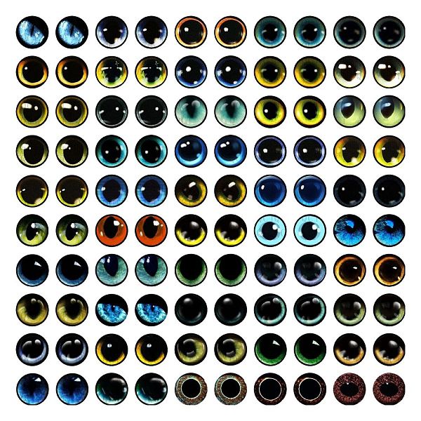 PandaHall Craft Glass Doll Eyes, Stuffed Toy Eyes, Half Round, Mixed Color, 10mm, about 100pcs/bag Glass Half Round Multicolor
PandaHall Craft Glass Doll Eyes, Stuffed Toy Eyes, Half Round, Mixed Color, 10mm, about 100pcs/bag Glass Half Round Multicolor