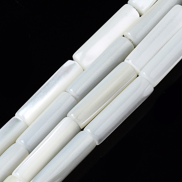 PandaHall Natural Trochid Shell/Trochus Shell Beads Strands, Column, Bleach, Seashell Color, 13x4mm, Hole: 0.7mm, about 30pcs/strand, 15.94...
PandaHall Natural Trochid Shell/Trochus Shell Beads Strands, Column, Bleach, Seashell Color, 13x4mm, Hole: 0.7mm, about 30pcs/strand, 15.94...