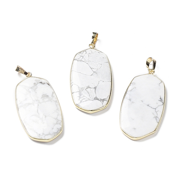 PandaHall Natural Howlite Pendants, with Rack Plating Light Gold Tone Brass Findings, Cadmium Free & Lead Free, Oval Charms, 48x22x4.5mm...
PandaHall Natural Howlite Pendants, with Rack Plating Light Gold Tone Brass Findings, Cadmium Free & Lead Free, Oval Charms, 48x22x4.5mm...