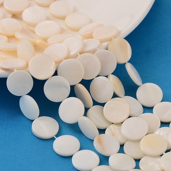 PandaHall Natural White Shell Beads Strands, Mother of Pearl Shell Beads, Flat Round, White, 14x2~3mm, Hole: 0.9mm, about 26pcs/strand...
PandaHall Natural White Shell Beads Strands, Mother of Pearl Shell Beads, Flat Round, White, 14x2~3mm, Hole: 0.9mm, about 26pcs/strand...