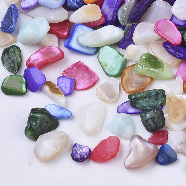 PandaHall Natural Freshwater Shell Beads, No Hole/Undrilled, Chips, Dyed, Shell Shards, Mixed Color, 3~12x1~6x0.5~5mm Freshwater Shell Chip..., Multicolor
PandaHall Natural Freshwater Shell Beads, No Hole/Undrilled, Chips, Dyed, Shell Shards, Mixed Color, 3~12x1~6x0.5~5mm Freshwater Shell Chip..., Multicolor