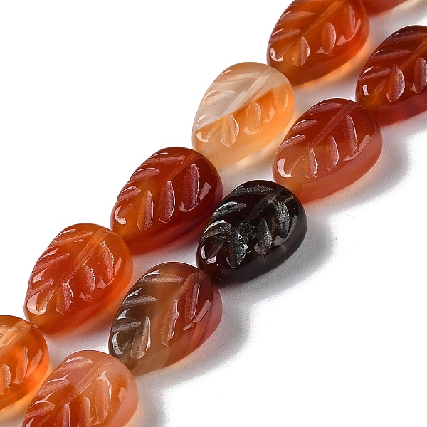 PandaHall Natural Red Agate Beads Strands, Leaf, 14~14.5x10~10.5x5.5~6mm, Hole: 1.2mm, about 15pcs/strand, 8.43''(21.4cm) Red Agate Leaf
PandaHall Natural Red Agate Beads Strands, Leaf, 14~14.5x10~10.5x5.5~6mm, Hole: 1.2mm, about 15pcs/strand, 8.43''(21.4cm) Red Agate Leaf
