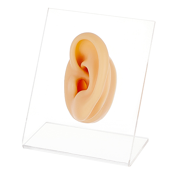 PandaHall Soft Silicone Left Ear Displays Mould, with Acrylic Stands, Earrings Ear Stud Display Teaching Tools for Piercing Suture..., Clear
PandaHall Soft Silicone Left Ear Displays Mould, with Acrylic Stands, Earrings Ear Stud Display Teaching Tools for Piercing Suture..., Clear