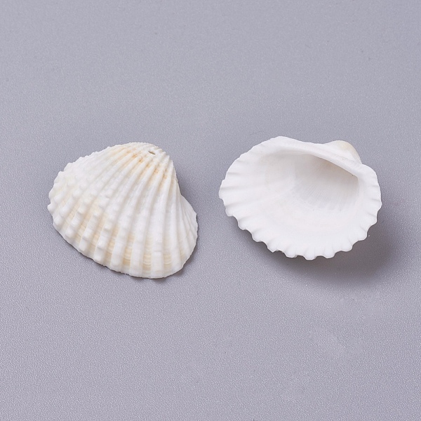 PandaHall Shell Pendants, 20.5~30.5x25~40x9~13mm, Hole: 1.5~1.6mm, about 500g/bag Other Sea Shell Shell Shape
PandaHall Shell Pendants, 20.5~30.5x25~40x9~13mm, Hole: 1.5~1.6mm, about 500g/bag Other Sea Shell Shell Shape