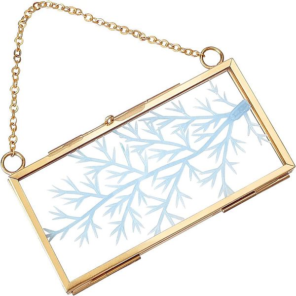 PandaHall FINGERINSPIRE Hanging Glass Frame Brass Rectangle Wall Frames (4x2inches/110x62mm) for Display Pressed Plant Specimen Dried...
PandaHall FINGERINSPIRE Hanging Glass Frame Brass Rectangle Wall Frames (4x2inches/110x62mm) for Display Pressed Plant Specimen Dried...