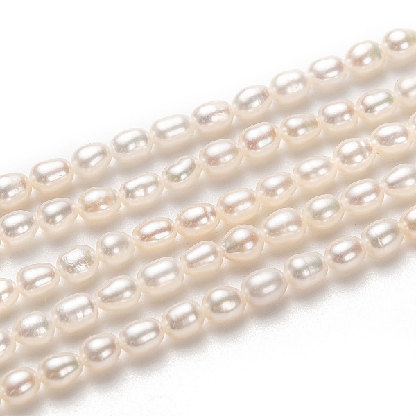 PandaHall Natural Cultured Freshwater Pearl Beads Strands, Rice, White, 5x4mm, Hole: 0.5mm, about 70pcs/strand, 14.57 inch(37cm) Pearl Rice...
PandaHall Natural Cultured Freshwater Pearl Beads Strands, Rice, White, 5x4mm, Hole: 0.5mm, about 70pcs/strand, 14.57 inch(37cm) Pearl Rice...