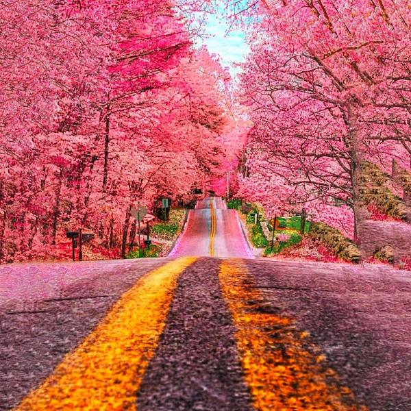 PandaHall DIY Natural Scenery Diamond Painting Kits, including Resin Rhinestones, Diamond Sticky Pen, Tray Plate and Glue Clay, Pink...
PandaHall DIY Natural Scenery Diamond Painting Kits, including Resin Rhinestones, Diamond Sticky Pen, Tray Plate and Glue Clay, Pink...