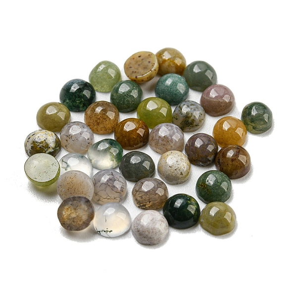 PandaHall Natural Indian Agate Cabochons, Half Round, 4x2~2.5mm Indian Agate Half Round
PandaHall Natural Indian Agate Cabochons, Half Round, 4x2~2.5mm Indian Agate Half Round