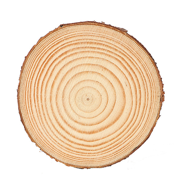 PandaHall Flat Round Natural Pine Wooden Slices, with Bark, for Wood Craft, BurlyWood, 4~5x1cm Wood Orange
PandaHall Flat Round Natural Pine Wooden Slices, with Bark, for Wood Craft, BurlyWood, 4~5x1cm Wood Orange