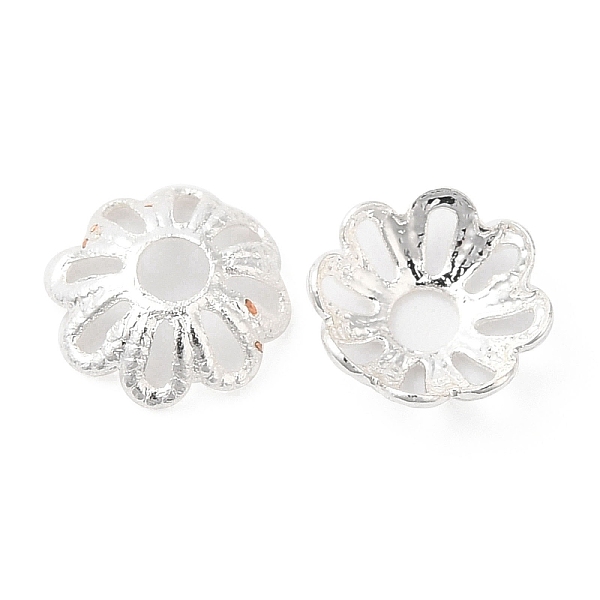 PandaHall Brass Beads Cap, Long-Lasting Plated, Cadmium Free & Lead Free, Flower, Silver, 6x2mm, Hole: 1.8mm Brass
PandaHall Brass Beads Cap, Long-Lasting Plated, Cadmium Free & Lead Free, Flower, Silver, 6x2mm, Hole: 1.8mm Brass