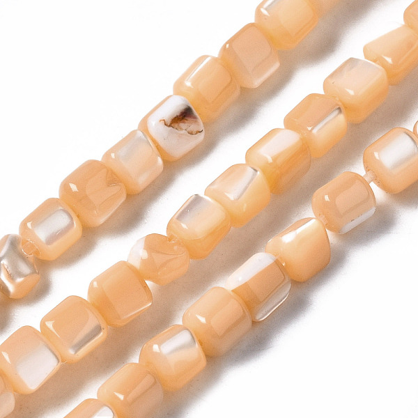 PandaHall Natural Trochid Shell/Trochus Shell Bead Strands, Dyed, Column, Sandy Brown, 3.5x3.5mm, Hole: 1mm, about 111~117pcs/strand, 15.35...
PandaHall Natural Trochid Shell/Trochus Shell Bead Strands, Dyed, Column, Sandy Brown, 3.5x3.5mm, Hole: 1mm, about 111~117pcs/strand, 15.35...
