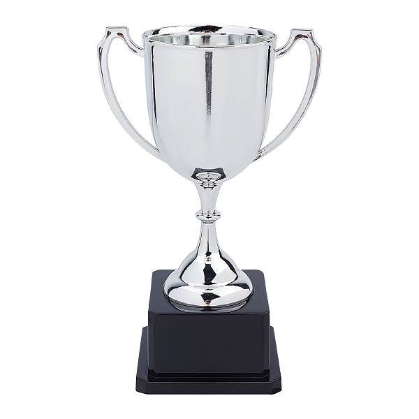 PandaHall Plastic Small Trophy Cup, for Children Sport Tournaments, Competitions Awards Ornaments, Silver, 7-1/2 inch(19cm) Plastic Silver
PandaHall Plastic Small Trophy Cup, for Children Sport Tournaments, Competitions Awards Ornaments, Silver, 7-1/2 inch(19cm) Plastic Silver