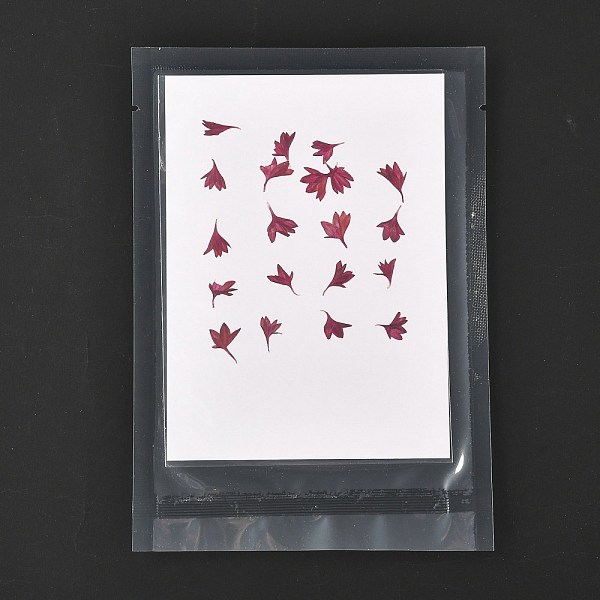 PandaHall Cornflower Embossing Dry Flower, for Cellphone, Photo Frame, Scrapbooking DIY Handmade Craft, Old Rose, 9~18x5~13mm, 20pcs/bag...
PandaHall Cornflower Embossing Dry Flower, for Cellphone, Photo Frame, Scrapbooking DIY Handmade Craft, Old Rose, 9~18x5~13mm, 20pcs/bag...