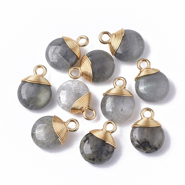 PandaHall Natural Labradorite Pendants, with Golden Tone Brass Wires and Iron Loops, Half Hole/Drilled, Flat Round, 14~15x10~11x5~6mm, Hole...
PandaHall Natural Labradorite Pendants, with Golden Tone Brass Wires and Iron Loops, Half Hole/Drilled, Flat Round, 14~15x10~11x5~6mm, Hole...