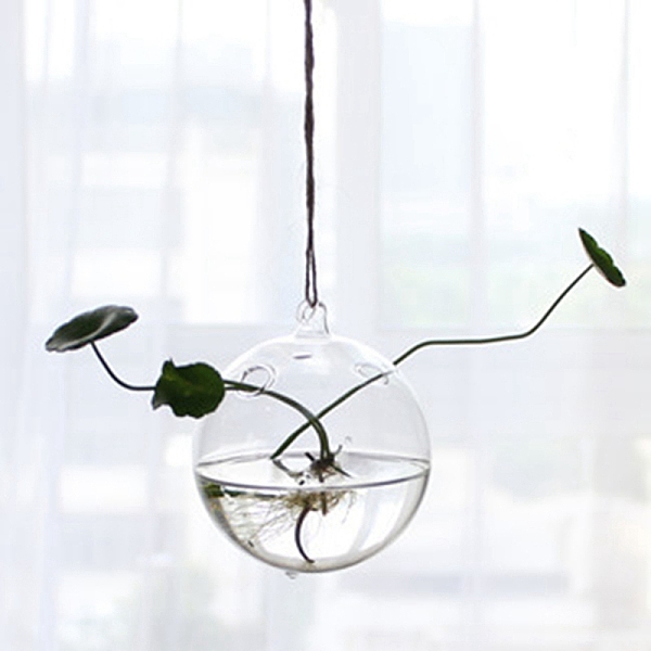 PandaHall Hanging Glass Plants Planters, Transparent Hydroponic Glass Vase for Indoor Garden Home Decoration, Round, 120mm Glass Round
PandaHall Hanging Glass Plants Planters, Transparent Hydroponic Glass Vase for Indoor Garden Home Decoration, Round, 120mm Glass Round