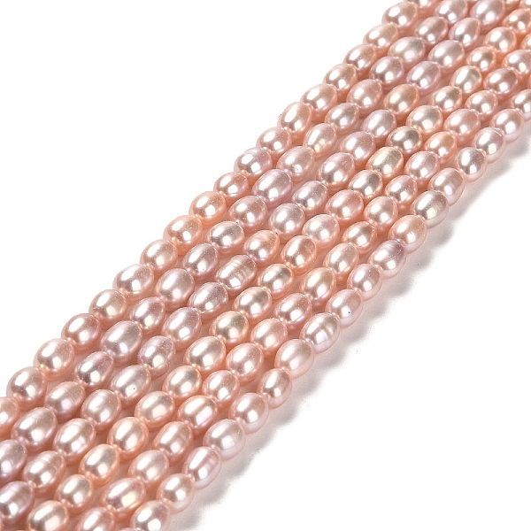 PandaHall Natural Cultured Freshwater Pearl Beads Strands, Rice, Grade 4A, Dark Salmon, 6~7x4~4.5mm, Hole: 0.5mm, about 58pcs/strand...
PandaHall Natural Cultured Freshwater Pearl Beads Strands, Rice, Grade 4A, Dark Salmon, 6~7x4~4.5mm, Hole: 0.5mm, about 58pcs/strand...