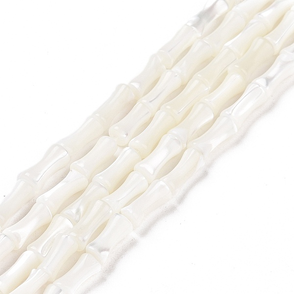 PandaHall Natural Trochus Shell Beads Strands, Bamboo Stick, White, 4x8x3.5mm, Hole: 0.8mm, about 51pcs/strand, 15.79''(40.1cm) Trochus...
PandaHall Natural Trochus Shell Beads Strands, Bamboo Stick, White, 4x8x3.5mm, Hole: 0.8mm, about 51pcs/strand, 15.79''(40.1cm) Trochus...