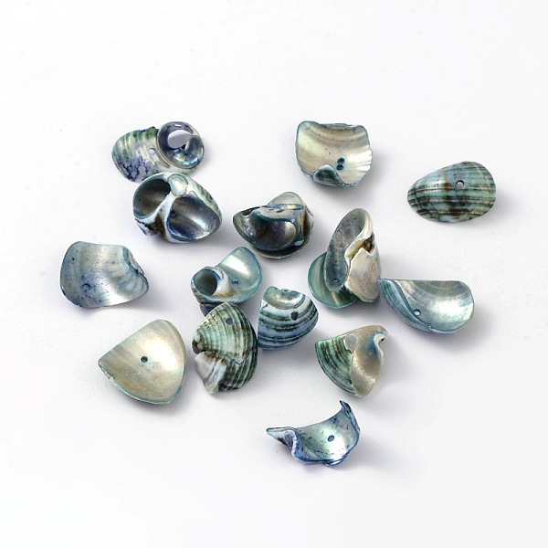 PandaHall Natural Sea Shell Beads, Dyed, Midnight Blue, Size: about 12~22mm long, 10~22mm wide, 2~4mm thick, hole: 2mm, about 920pcs/500g...
PandaHall Natural Sea Shell Beads, Dyed, Midnight Blue, Size: about 12~22mm long, 10~22mm wide, 2~4mm thick, hole: 2mm, about 920pcs/500g...