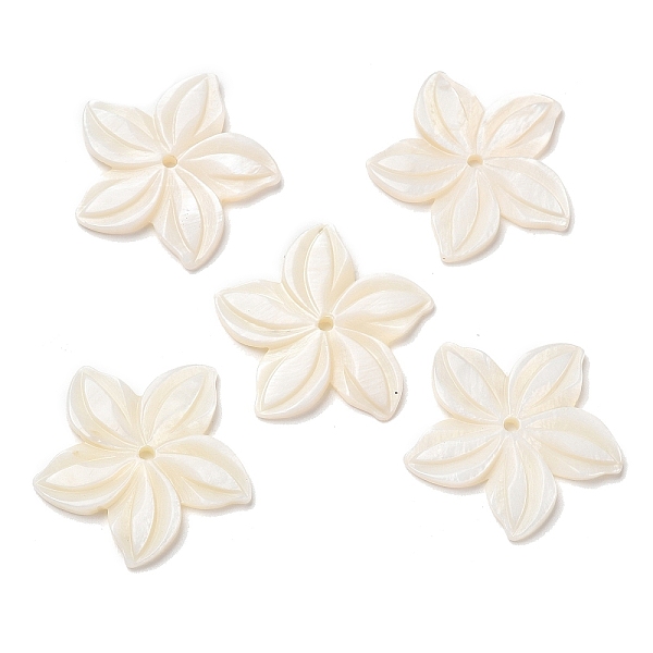 PandaHall Natural Freshwater Shell Beads, Flower, 27x28x2.5mm, Hole: 1.8mm Freshwater Shell Flower
PandaHall Natural Freshwater Shell Beads, Flower, 27x28x2.5mm, Hole: 1.8mm Freshwater Shell Flower