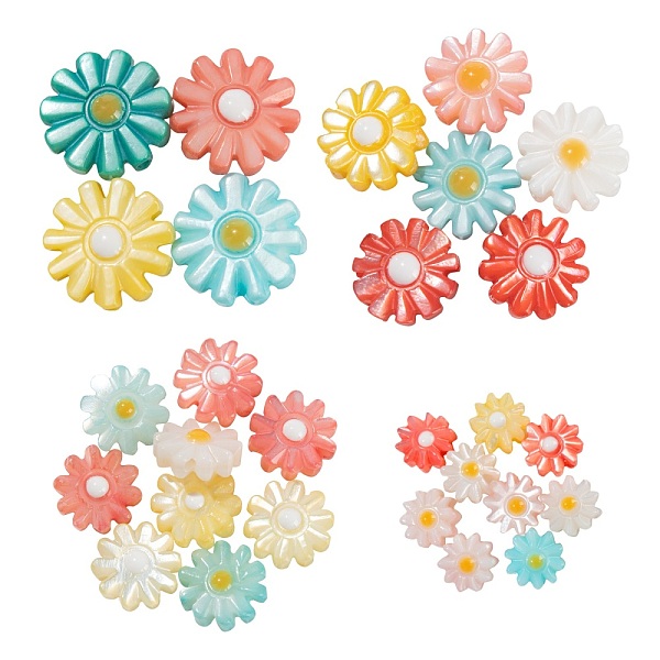 PandaHall 40Pcs 4 Style Natural Freshwater Shell Beads, with Enamel, Flower, Mixed Color, 6~12x3~4mm, Hole: 0.8~0.9mm, 10pcs/style..., Multicolor
PandaHall 40Pcs 4 Style Natural Freshwater Shell Beads, with Enamel, Flower, Mixed Color, 6~12x3~4mm, Hole: 0.8~0.9mm, 10pcs/style..., Multicolor