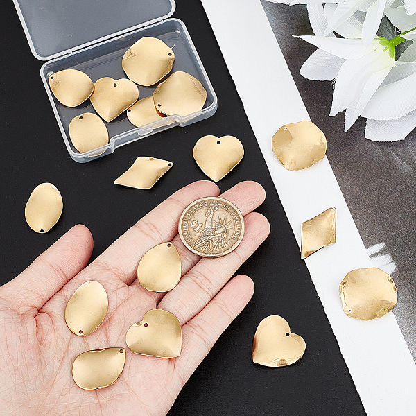 PandaHall Unicraftale 24Pcs 6 Style 304 Stainless Steel Pendants, Golden, Leaf & Round & Heart, Golden, 16~26x15.5~22x1~2mm, Hole: 1.2mm...
PandaHall Unicraftale 24Pcs 6 Style 304 Stainless Steel Pendants, Golden, Leaf & Round & Heart, Golden, 16~26x15.5~22x1~2mm, Hole: 1.2mm...