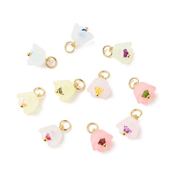 PandaHall Transparent Acrylic Charms, with Golden Tone Brass Findings, Flower, Mixed Color, 9.5x9mm, Hole: 3.6mm Brass+Acrylic Flower..., Multicolor
PandaHall Transparent Acrylic Charms, with Golden Tone Brass Findings, Flower, Mixed Color, 9.5x9mm, Hole: 3.6mm Brass+Acrylic Flower..., Multicolor