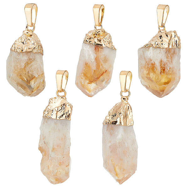PandaHall 5Pcs Raw Rough Natural Citrine Pendants, Nuggets Charms, with Golden Plated Brass Snap on Bails, 27~42x15.5~18x13~13.5mm, Hole...
PandaHall 5Pcs Raw Rough Natural Citrine Pendants, Nuggets Charms, with Golden Plated Brass Snap on Bails, 27~42x15.5~18x13~13.5mm, Hole...
