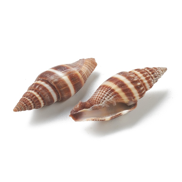 PandaHall Natural Spiral Shell Beads, Undrilled/No Hole Beads, Sienna, 34.5~36x11~12x10~11mm Spiral Shell Shell Shape Brown
PandaHall Natural Spiral Shell Beads, Undrilled/No Hole Beads, Sienna, 34.5~36x11~12x10~11mm Spiral Shell Shell Shape Brown