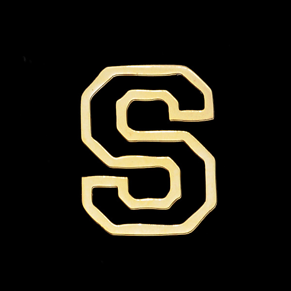 PandaHall Vacuum Plating 201 Stainless Steel Charms, Laser Cut, Letter, No Hole, Letter.S, 12x9x1mm 201 Stainless Steel Letter S
PandaHall Vacuum Plating 201 Stainless Steel Charms, Laser Cut, Letter, No Hole, Letter.S, 12x9x1mm 201 Stainless Steel Letter S