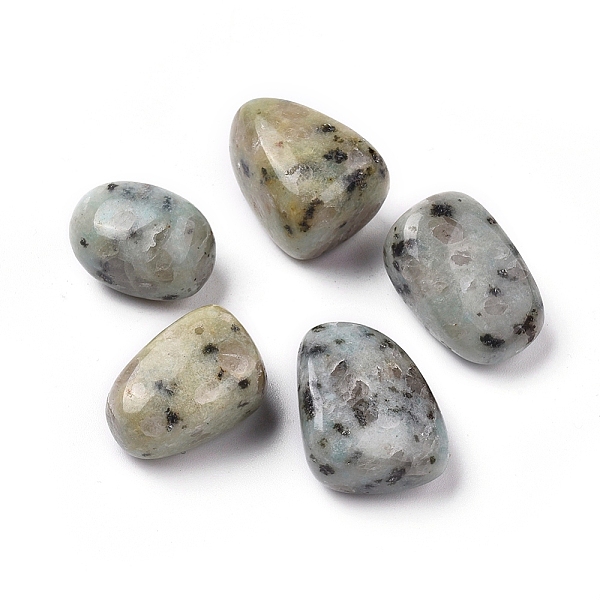 PandaHall 5Pcs Natural Sesame Jasper/Kiwi Jasper Beads, Tumbled Stone, Vase Filler Gems, No Hole/Undrilled, Nuggets, 20~35x13~23x8~22mm...
PandaHall 5Pcs Natural Sesame Jasper/Kiwi Jasper Beads, Tumbled Stone, Vase Filler Gems, No Hole/Undrilled, Nuggets, 20~35x13~23x8~22mm...