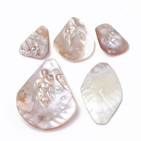 PandaHall Freshwater Shell Big Pendants, Mixed Shapes, BurlyWood, 45~85x30~60x5~10mm, Hole: 2mm Freshwater Shell Mixed Shapes Orange
PandaHall Freshwater Shell Big Pendants, Mixed Shapes, BurlyWood, 45~85x30~60x5~10mm, Hole: 2mm Freshwater Shell Mixed Shapes Orange