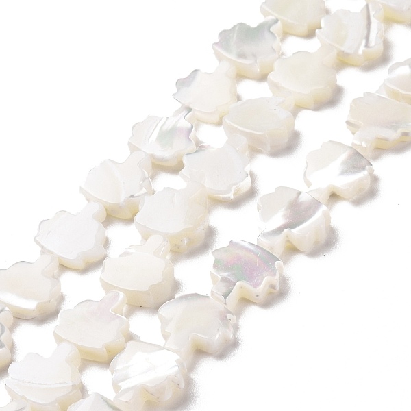 PandaHall Natural Trochid Shell Beads Strands, Tree, White, 11x10.5x3~3.5mm, Hole: 0.6mm, about 36~37pcs/strand, 15.75~15.94 inch(40~40.5cm)...
PandaHall Natural Trochid Shell Beads Strands, Tree, White, 11x10.5x3~3.5mm, Hole: 0.6mm, about 36~37pcs/strand, 15.75~15.94 inch(40~40.5cm)...