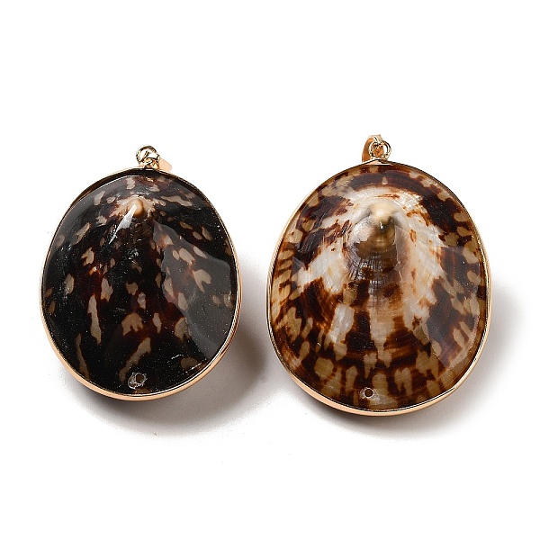 PandaHall Electroplate Natural Shell Big Pendants, Light Gold Tone Brass Oval Charms with Iron Snap on Bails, 49~53x37.5~41.5x25.5mm, Hole...
PandaHall Electroplate Natural Shell Big Pendants, Light Gold Tone Brass Oval Charms with Iron Snap on Bails, 49~53x37.5~41.5x25.5mm, Hole...