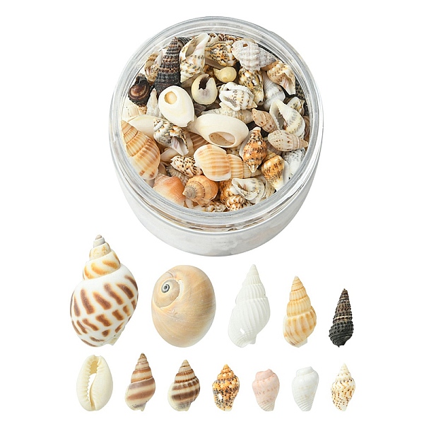 PandaHall 12 Styles Natural Mixed Shell Beads, No Hole/Undrilled, for DIY Art Craft, Mixed Color, 5~33.6x4~31x4~15mm Mixed Shell Mixed..., Multicolor
PandaHall 12 Styles Natural Mixed Shell Beads, No Hole/Undrilled, for DIY Art Craft, Mixed Color, 5~33.6x4~31x4~15mm Mixed Shell Mixed..., Multicolor
