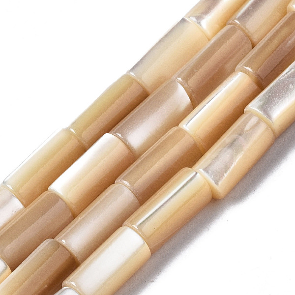 PandaHall Natural Trochid Shell/Trochus Shell Beads Strands, Column, BurlyWood, 8x4mm, Hole: 0.7mm, about 51pcs/strand, 15.94 inch(40.5cm)..., Orange
PandaHall Natural Trochid Shell/Trochus Shell Beads Strands, Column, BurlyWood, 8x4mm, Hole: 0.7mm, about 51pcs/strand, 15.94 inch(40.5cm)..., Orange