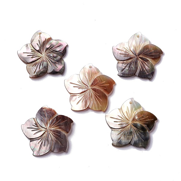 PandaHall Natural Black Lip Shell Pendants, Sakura Flower Charm, 31x32x3mm, Hole: 1.8mm Black Lip Shell Flower
PandaHall Natural Black Lip Shell Pendants, Sakura Flower Charm, 31x32x3mm, Hole: 1.8mm Black Lip Shell Flower