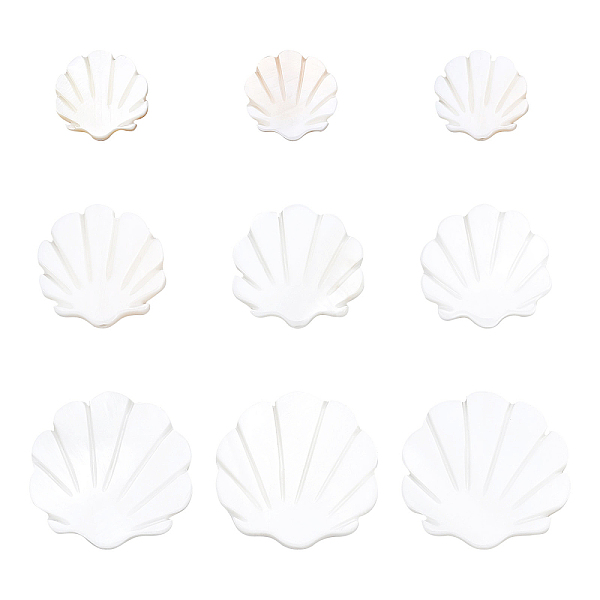PandaHall BENECREAT 30Pcs 3 Sizes Natural Freshwater Shell Beads, Scallop Shape, Creamy White, 10pcs/size Freshwater Shell Shell Shape
PandaHall BENECREAT 30Pcs 3 Sizes Natural Freshwater Shell Beads, Scallop Shape, Creamy White, 10pcs/size Freshwater Shell Shell Shape