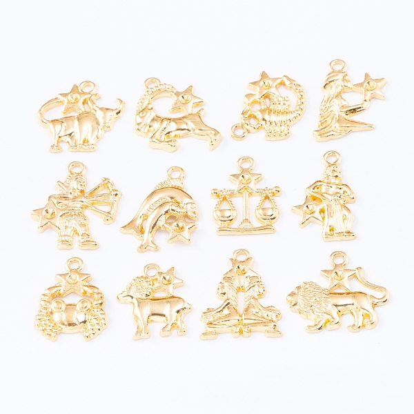 PandaHall Alloy Pendants, Cadmium Free & Lead Free, 12 Constellations, Golden, 20~27x16~25mm, 12pcs/set Alloy Constellation
PandaHall Alloy Pendants, Cadmium Free & Lead Free, 12 Constellations, Golden, 20~27x16~25mm, 12pcs/set Alloy Constellation