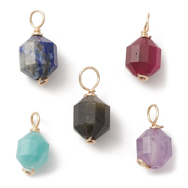 PandaHall Natural Mixed Gemstone Copper Wire Wrapped Charms, Faceted Bicone Barrel Drum, Golden, 10~12.5x5~6.5x5~6mm, Hole: 2~2.5mm Mixed...
PandaHall Natural Mixed Gemstone Copper Wire Wrapped Charms, Faceted Bicone Barrel Drum, Golden, 10~12.5x5~6.5x5~6mm, Hole: 2~2.5mm Mixed...