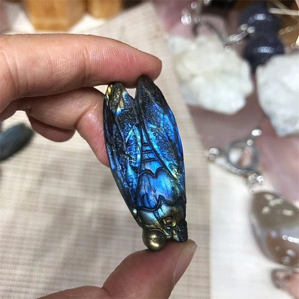 PandaHall Dyed Natural Labradorite Carved Display Decorations, Figurine Home Decoration, Reiki Energy Stone for Healing, Insects, 40~60mm...
PandaHall Dyed Natural Labradorite Carved Display Decorations, Figurine Home Decoration, Reiki Energy Stone for Healing, Insects, 40~60mm...