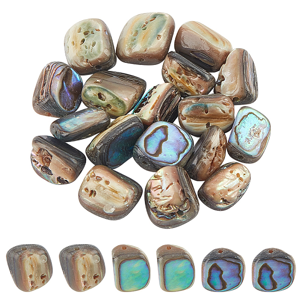 PandaHall BENECREAT 18Pcs Natural Abalone Shell/Paua Shell Beads, Nuggets, Colorful, 10.5x7.5~8.5x4~7.5mm, Hole: 1mm Paua Shell Nuggets
PandaHall BENECREAT 18Pcs Natural Abalone Shell/Paua Shell Beads, Nuggets, Colorful, 10.5x7.5~8.5x4~7.5mm, Hole: 1mm Paua Shell Nuggets