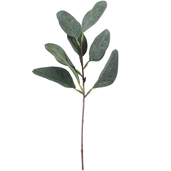 PandaHall Plastic Artificial Leaf, for Vase Floral Arrangement Wedding Bouquet Decoration, Green, 285mm Plastic Leaf Green
PandaHall Plastic Artificial Leaf, for Vase Floral Arrangement Wedding Bouquet Decoration, Green, 285mm Plastic Leaf Green