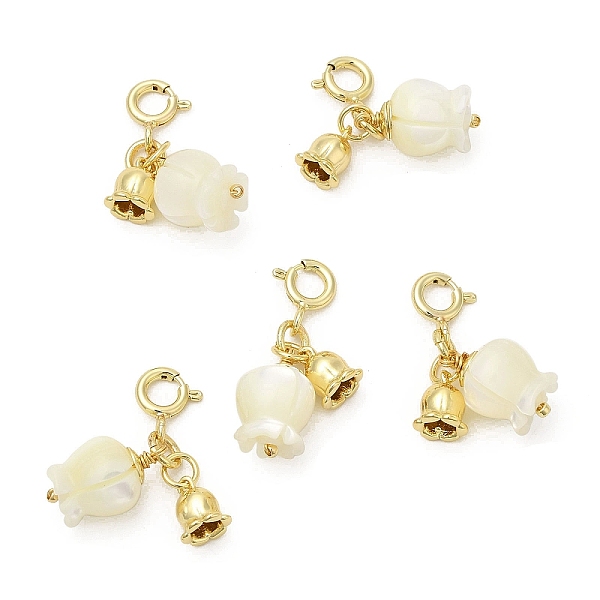 PandaHall Natural Trochid Shell/Trochus Shell Flower Pendant Decoration, Tulip Flower Ornament with Brass Lobster Claw Clasps, Real 14K Gold...
PandaHall Natural Trochid Shell/Trochus Shell Flower Pendant Decoration, Tulip Flower Ornament with Brass Lobster Claw Clasps, Real 14K Gold...