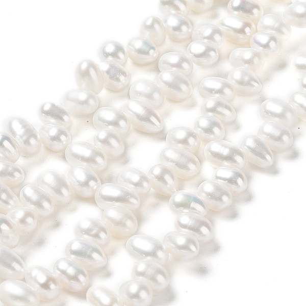 PandaHall Natural Cultured Freshwater Pearl Beads Strands, Grade 6A+, Rice, Seashell Color, 7~8x4~5mm, Hole: 0.5mm, about 70pcs/strand...
PandaHall Natural Cultured Freshwater Pearl Beads Strands, Grade 6A+, Rice, Seashell Color, 7~8x4~5mm, Hole: 0.5mm, about 70pcs/strand...