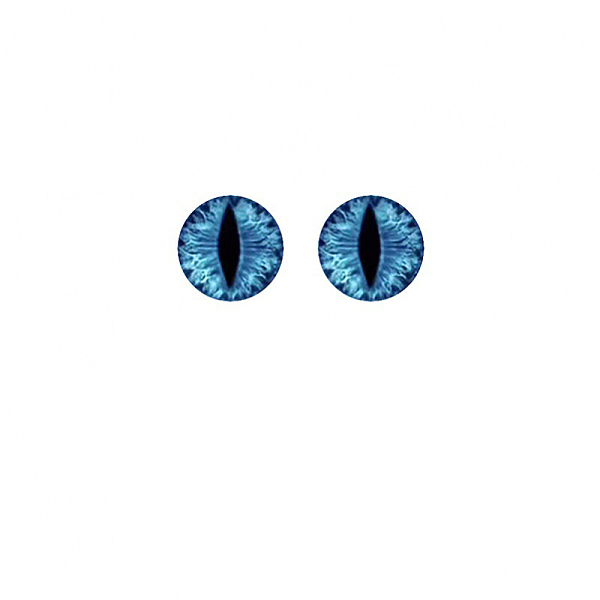 PandaHall Plastic Dinosaur Safety Craft Eye, for DIY Doll Toys Puppet Plush Animal Making, Half Round, Dodger Blue, 16mm Plastic Half Round
PandaHall Plastic Dinosaur Safety Craft Eye, for DIY Doll Toys Puppet Plush Animal Making, Half Round, Dodger Blue, 16mm Plastic Half Round