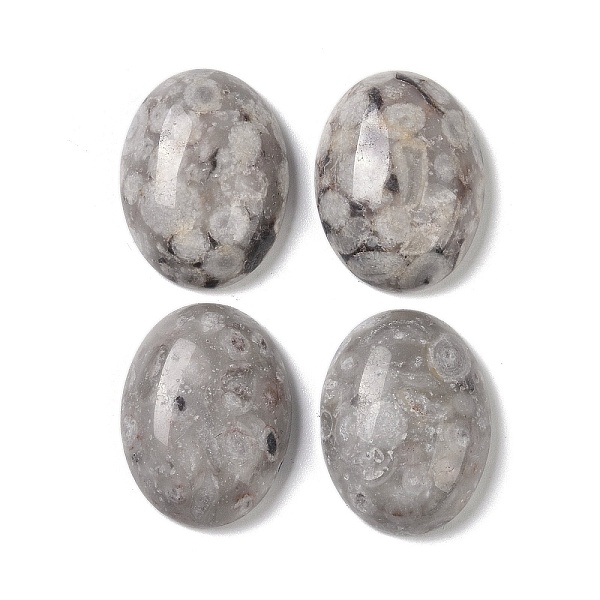 PandaHall Natural Maifanite Cabochons, Oval, 20~20.8x15~15.5x5.8~6.5mm Maifanite Oval
PandaHall Natural Maifanite Cabochons, Oval, 20~20.8x15~15.5x5.8~6.5mm Maifanite Oval