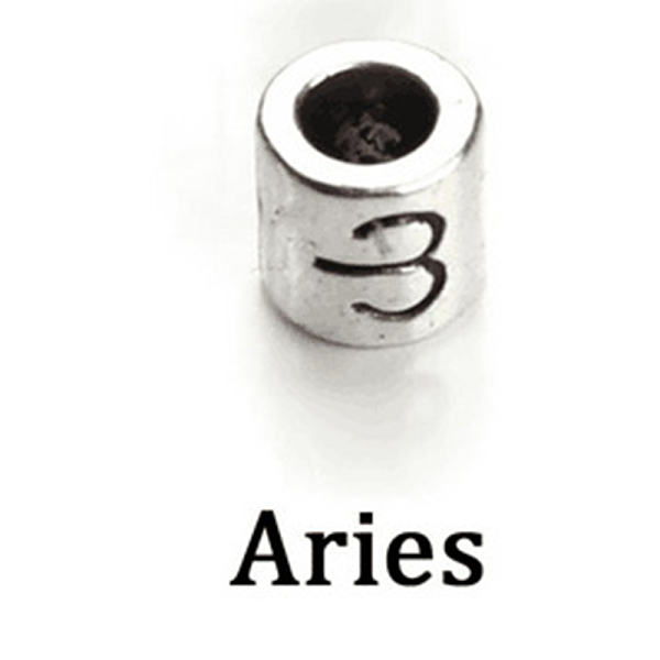 PandaHall Antique Silver Plated Alloy European Beads, Large Hole Beads, Column with Twelve Constellations, Aries, 7.5x7.5mm, Hole: 4mm...
PandaHall Antique Silver Plated Alloy European Beads, Large Hole Beads, Column with Twelve Constellations, Aries, 7.5x7.5mm, Hole: 4mm...