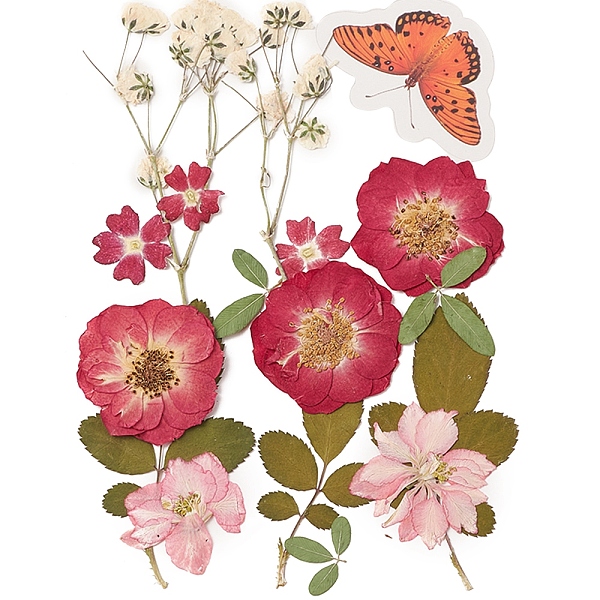 PandaHall Pressed Dried Flowers, for Cellphone, Photo Frame, Scrapbooking DIY and Resin Art Floral Decors, 137x100x0.3mm Dried Flower Flower..., Red
PandaHall Pressed Dried Flowers, for Cellphone, Photo Frame, Scrapbooking DIY and Resin Art Floral Decors, 137x100x0.3mm Dried Flower Flower..., Red