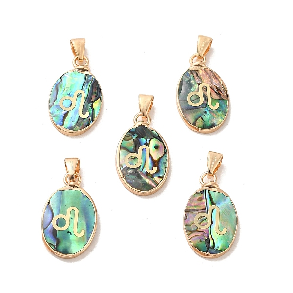 PandaHall Constellation Natural Paua Shell Pendants, Golden Tone Brass Oval Charms, Leo, 22x13x3~3.5mm, Hole: 6x3mm Paua Shell Leo
PandaHall Constellation Natural Paua Shell Pendants, Golden Tone Brass Oval Charms, Leo, 22x13x3~3.5mm, Hole: 6x3mm Paua Shell Leo
