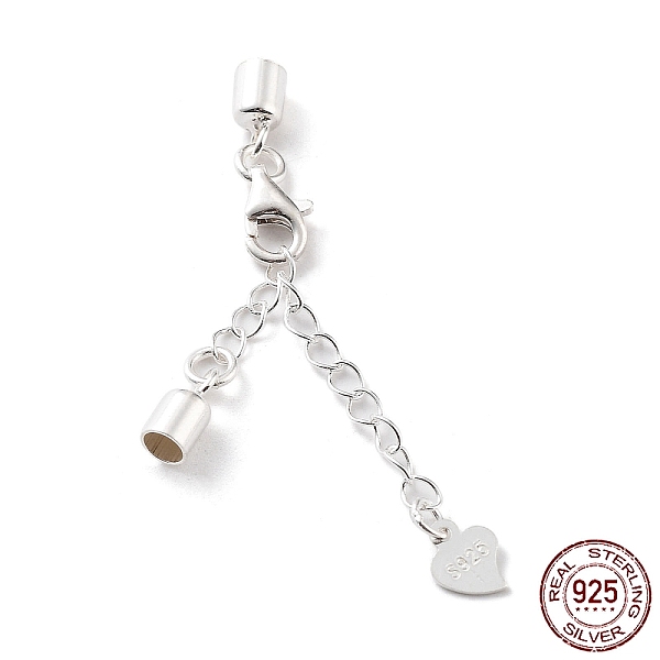 PandaHall 925 Sterling Silver Curb Chain Extender, End Chains with Lobster Claw Clasps and Cord Ends, Heart Chain Tabs, with S925 Stamp...
PandaHall 925 Sterling Silver Curb Chain Extender, End Chains with Lobster Claw Clasps and Cord Ends, Heart Chain Tabs, with S925 Stamp...